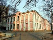 2009 р. Загальний вигляд