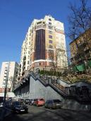 2009 р. Загальний вигляд