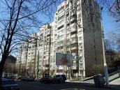 2009 р. Загальний вигляд