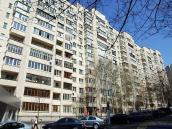 2009 р. Загальний вигляд