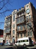 2009 р. Загальний вигляд