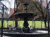 2009 р. Загальний вигляд