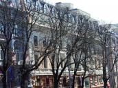 2009 р. Загальний вигляд