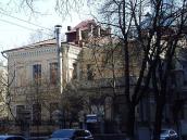 2009 р. Загальний вигляд