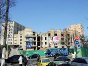 2009 р. Загальний вигляд