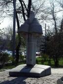 2009 р. Загальний вигляд анфас