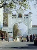 2009 р. Загальний вигляд