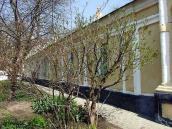 2009 р. Загальний вигляд з південного…