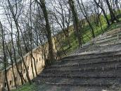 2009 р. Ділянка на схилі від Дальніх…