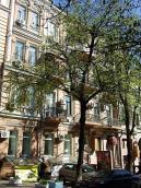 2009 р. Загальний вигляд (2)