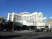 2009 р. Загальний вигляд