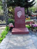 2010 р. Загальний вигляд