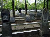 2010 р. Загальний вигляд