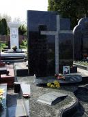 2010 р. Загальний вигляд