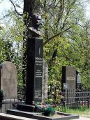 2010 р. Загальний вигляд