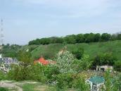 Ліва частина