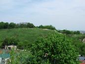 Центральна частина