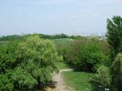 2010 р. Загальний вигляд з боку вул.…