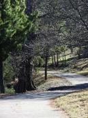 2011 р. Алея на південь від…