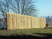 2011 р. Частокіл. Вигляд із заходу