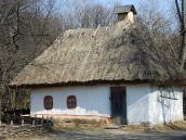 2011 р. Загальний вигляд