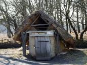 2011 р. Загальний вигляд