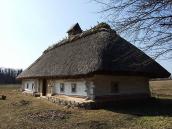 2011 р. Загальний вигляд