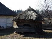 2011 р. Загальний вигляд