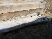 2011 р. Дерев’яний ідол лежить біля сажа