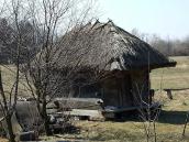 2011 р. Загальний вигляд