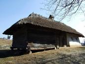 2011 р. Загальний вигляд