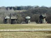 2011 р. Загальний вигляд групи…