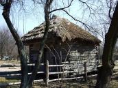 2011 р. Загальний вигляд