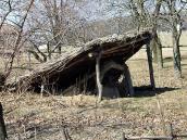 2011 р. Загальний вигляд