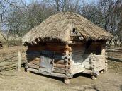 Саж із с.Вельбівка