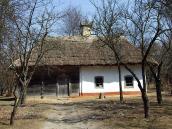 Хата із с.Шишаки
