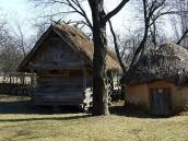 2011 р. Саж і курник