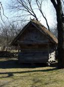 Саж із с.Велика Павлівка