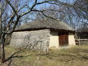 2011 р. Загальний вигляд