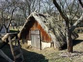 Льох із с.Коноплянка