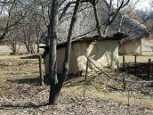 2011 р. Загальний вигляд