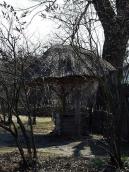 2011 р. Загальний вигляд