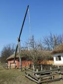 2011 р. Загальний вигляд