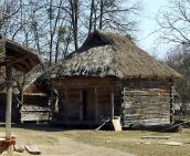 2011 р. Загальний вигляд