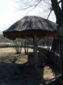 Криниця із с. Тарасівка