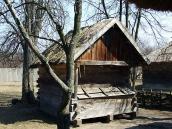 Саж із с.Глинськ