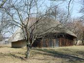 2011 р. Загальний вигляд