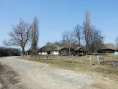 2011 р. Загальний вигляд (хата,…