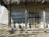 Фрагмент фасаду