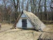 2011 р. Загальний вигляд